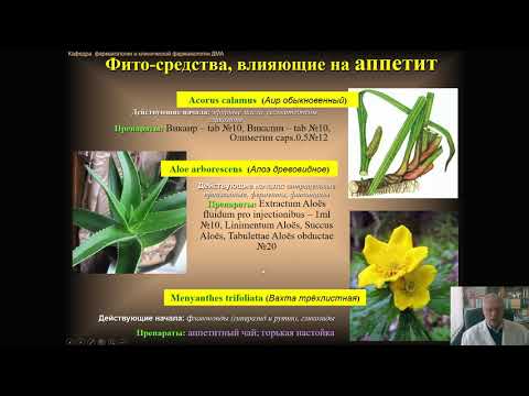 Видео: Фармакология системы пищеварения (профессор Мамчур В.И.)