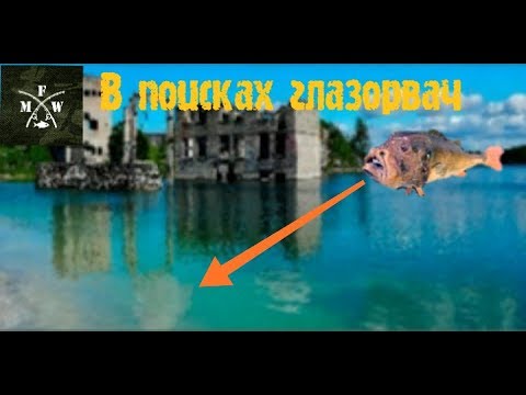 Видео: 9)My Fishing World в поисках глазорвачь