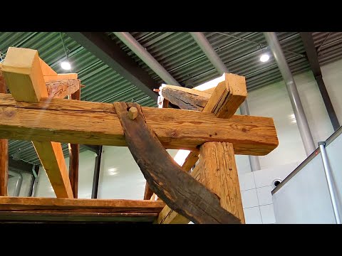 Видео: Выставка DACH+HOLZ. Чудеса инструмента и технологий.
