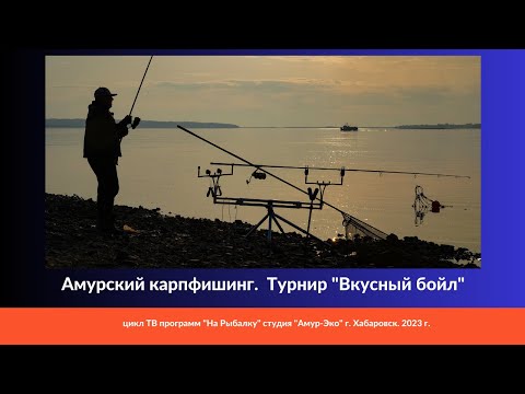 Видео: Карпфишинг на Амуре. Турнир "Вкусный бойл"