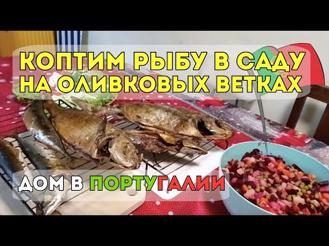 Видео: Снова коптим рыбу на оливковых ветках! Вкус Португалии 🐟🔥