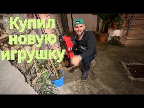 Видео: Купил аккумуляторную пилу . Зима на юге Италии.