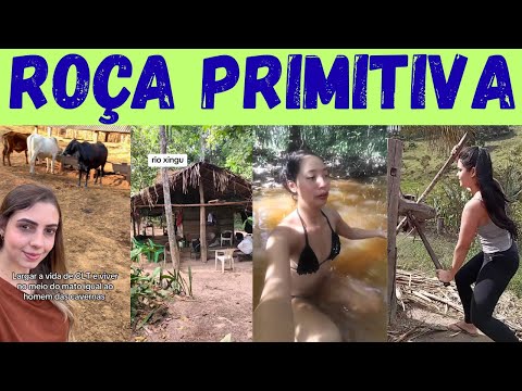 Видео: Живя в лесу, как в примитивных полях.