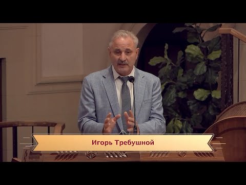 Видео: "Практическое действие долготерпения"  Игорь Требушной 09/29/2025