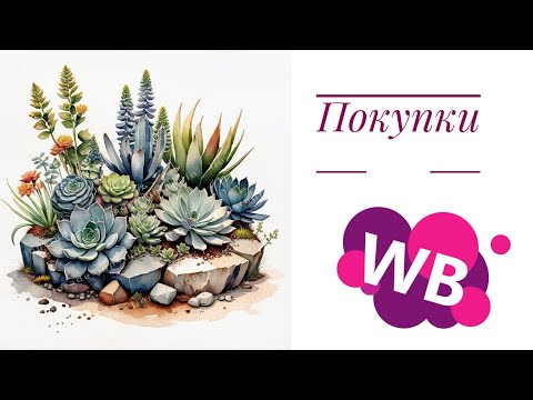 Видео: Распаковка. Покупки с WB. Уличные суккуленты.