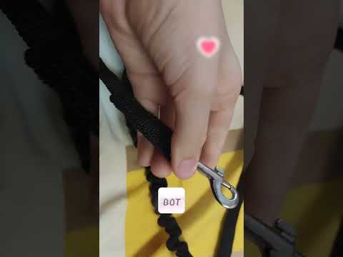 Видео: Обзор амуниции для ездового спорта. ❤️🌸🌷🐶😉