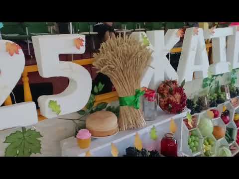 Видео: 14 сентября 2025 г.