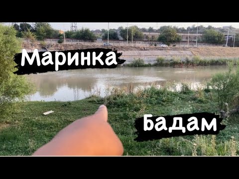 Видео: Шымкент МАРИНКА КАРАСЬ балық зор болды)