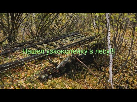 Видео: Нашли заброшенную узкоколейку!!!