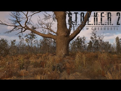 Видео: S.T.A.L.K.E.R. 2 Heart of Chornobyl #26 | Возвращение и дверной обман