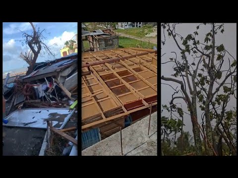 Видео: Вот что ураган Мелисса сделал с Западной Ямайкой (подписчики прислали видео)