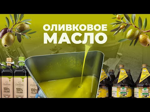 Видео: Как выбрать оливковое масло. Цены в Италии. Особенность масла в Тоскане