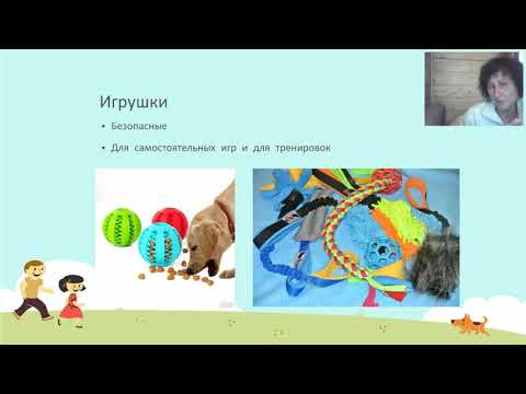 Видео: Собака без проблем. Татьяна Шаманова