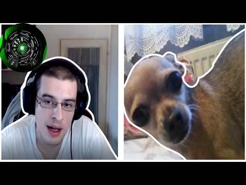 Видео: Noobcleaver Stream compilation #17. Обратно у дома. [Story Time]