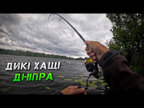 Видео: ✅Як Впіймати Коли НЕ Клює?! По Диким Хащам Дніпра✅