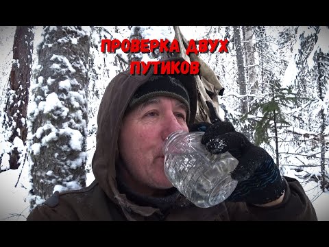 Видео: ВТОРОЙ ДЕНЬ ПРОВЕРКИ КАПКАНОВ.