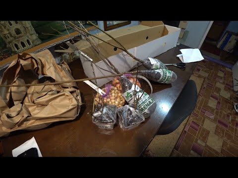 Видео: Обзор посылки от Семена.ру