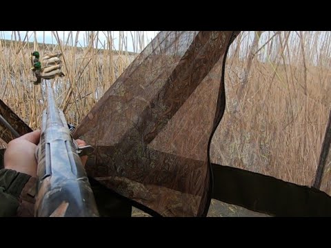 Видео: ОХОТА НА СЕЛЕЗНЯ С ПОДСАДНОЙ УТКОЙ 2024 🦆 ОХОТА ПРОСТО СКАЗКА 👍 мр 155 в деле