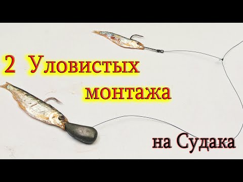 Видео: 2 Уловистых монтажа для ловли судака на ТЮЛЬКУ