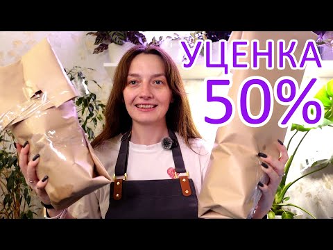 Видео: УЦЕНКА 50% из Лемана про. Будни цветовода. Распаковка и пересадка. Посадка семян различных Кактусов
