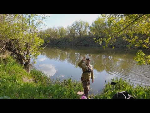Видео: Дикий клёв Безумной рыбы на реке.Рыбалка весной на поплавок!