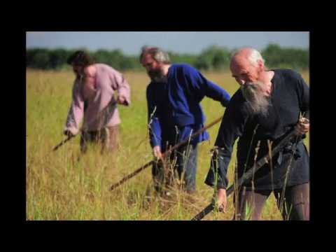 Видео: Косари на лугу