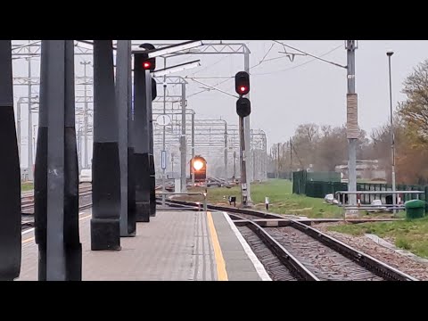 Видео: Тепловоз 2ТЭ116-1667 на ст. Тапа