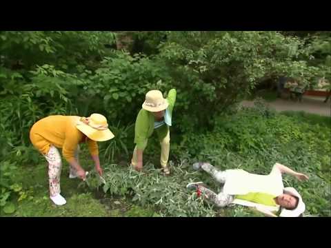 Видео: БРОСОК ЧЕРЕЗ ПЛЕЧО - УПРАЖНЕНИЕ С ГИРЕЙ  №20 \ Умный Атлетизм - серия "Основы работы с гирей"