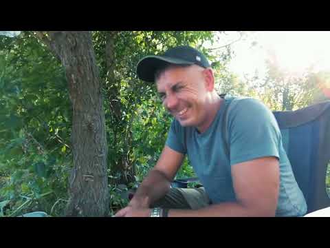 Видео: Алтайский край. Белая речка, синие камни 2022