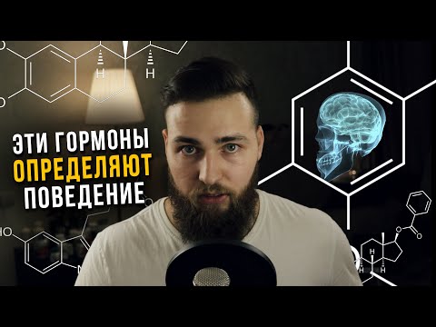 Видео: Твоё мировосприятие и поведение зависит от этих гормонов