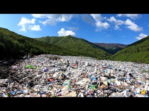 Видео: Екологічна Катастрофа Міжгір'я і Міжгірського Району Ecological disaster in Mizhhirya