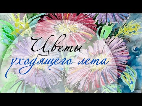 Видео: Осенние цветы, как нарисовать астры 🌺