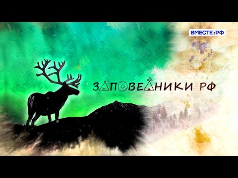 Видео: Загадки и люди Лапландского заповедника. Заповедники РФ