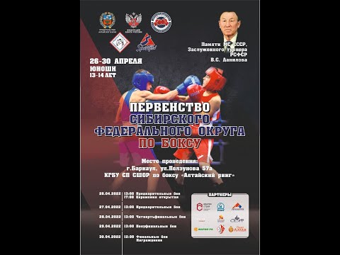Видео: Первенство СФО по боксу среди юношей 13-14 лет. Барнаул. День 2.