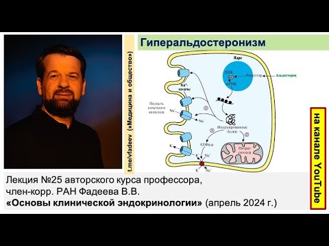 Видео: Гиперальдостеронизм