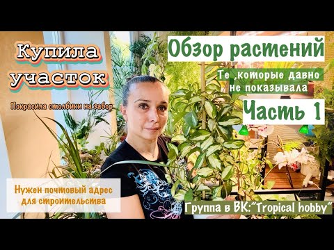 Видео: Обзор растений. Часть 1 Давно их не показывала. Оформляла почтовый адрес и купила металл для забора)