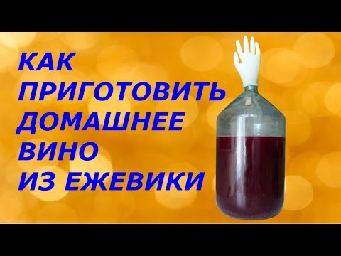 Видео: Как самому приготовить вино из ежевики