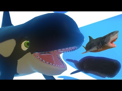 Видео: КОСАТКА 1000 УРОВНЯ! ОКЕАН СТАЛ ЛУЖЕЙ! РЫБИЙ ЧЕЛЛЕНДЖ! FEED AND GROW FISH