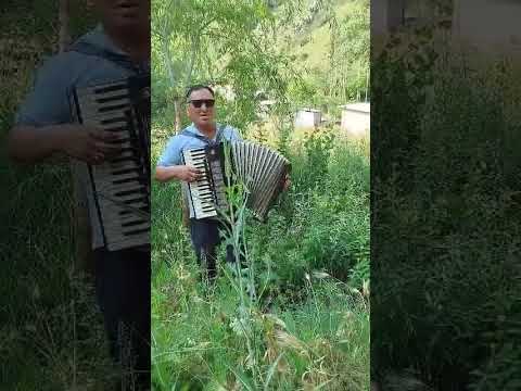 Видео: Аксы