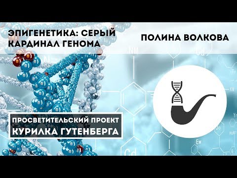 Видео: Эпигенетика: серый кардинал генома – Полина Волкова