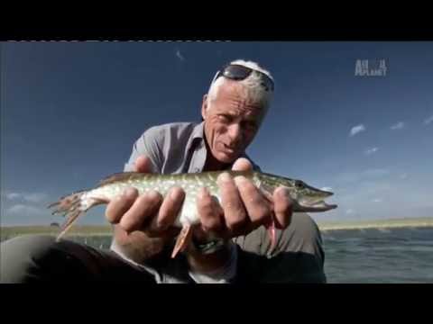 Видео: Опасная рыбалка - Чернобыльские монстры