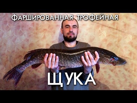 Видео: ФАРШИРОВАННАЯ ТРОФЕЙНАЯ ЩУКА