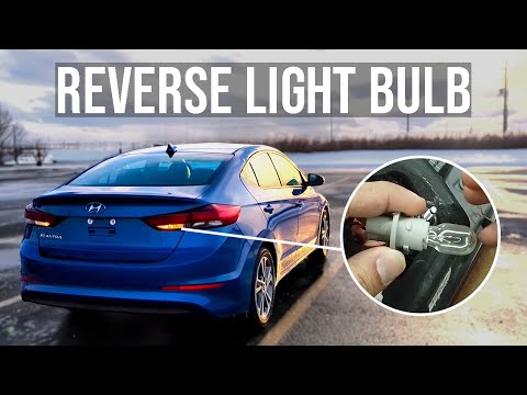 Видео: Как заменить лампу заднего хода - Hyundai Elantra (2017-2018)