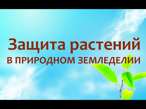 Видео: Природное земледелие - Защита растений от болезней и вредителей