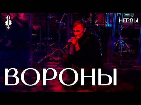 Видео: Ярослав Баярунас - Вороны (cover «Нервы»)