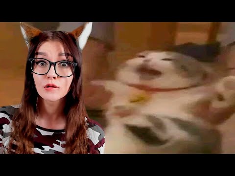 Видео: ЗАСМЕЯЛСЯ - ПОДПИСАЛСЯ!! ЛУЧШИЕ ПРИКОЛЫ 2020 ТЕСТ НА ПСИХИКУ УГАР! #301 РЕАКЦИЯ СОЮЗ СМЕХА
