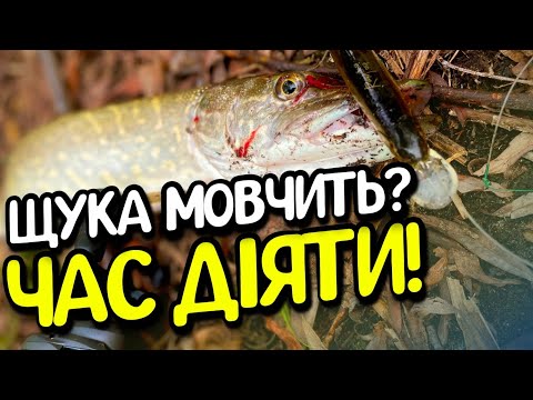 Видео: Не клює? Змінюємо гру! Як я змусив щуку атакувати — підбір приманок і проводок.