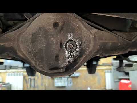Видео: Suzuki Everi и вместе с ней много удивлений для нас