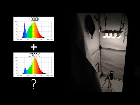 Видео: Суммирование спектров бытовых светодиодных ламп теплого и холодного 2700K света 4000K.