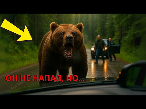 Видео: МЕДВЕДЬ ВСТАЛ на дороге перед машиной... НО КОГДА ЛЮДИ ПОШЛИ за ним — У НИХ ЗАДРАЛОСЬ ДЫХАНИЕ!